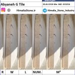 تروارتن ابیانه