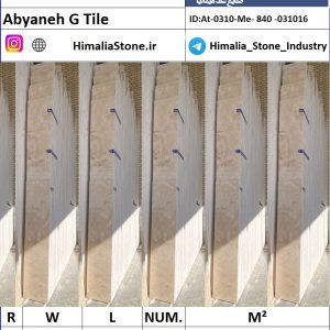 تروارتن ابیانه